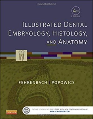 Official Test Bank for Illustrated Dental Emrbyology, Histology, and Anatomy by Fehrenbach 4th Edition