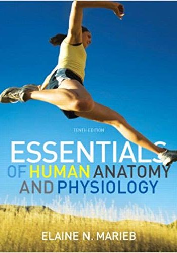 Official Test Bank for Essentials of Human Anatomy and Physiology By Marieb 10th Edition